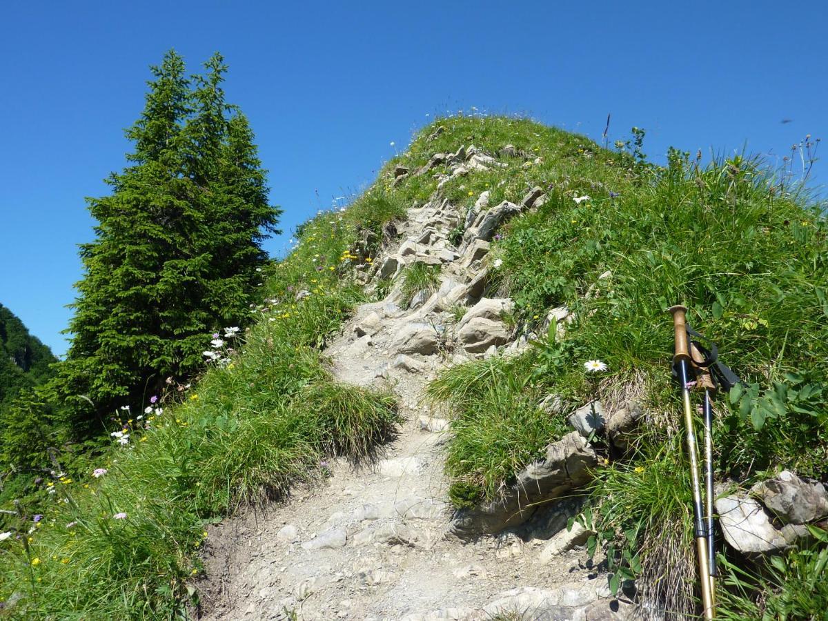 Gaestehaus Alpina Riezlern Exteriér fotografie